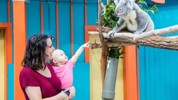 ZooTampa at Lowry Park: Fast Track Ticket