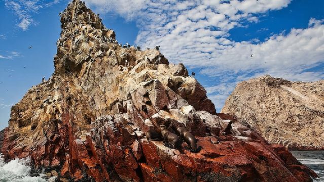 Lima: Paracas Reserve, Slave Tunnels & Ballestas Islands Full Day