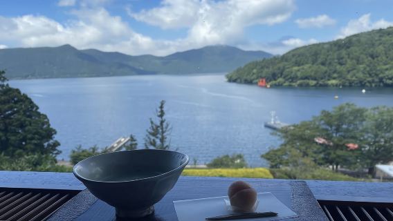 日本東京-箱根雕刻森林美術館-蘆之湖【中文專車 舒適純淨】