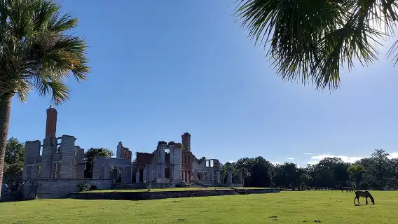Cumberland Island Walking Tour