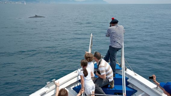 Aquarium of Genoa Ticket and Whale Watching Cruise