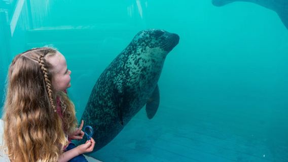 Sea Life Hunstanton