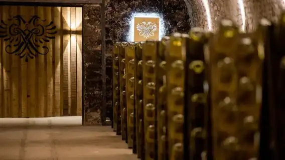 Vienna: Schlumberger Wine Cellar Guided or Self-Guided Tour