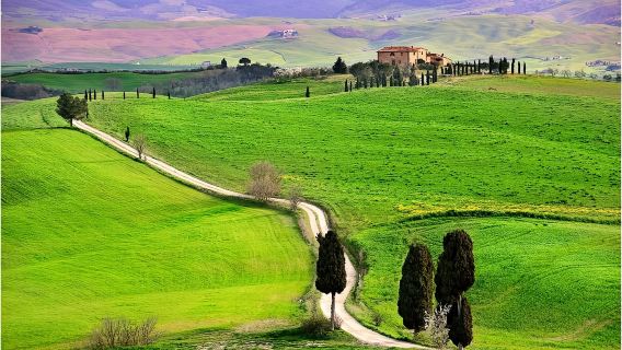 Excursión de un día al Valle de Orcia desde Florencia