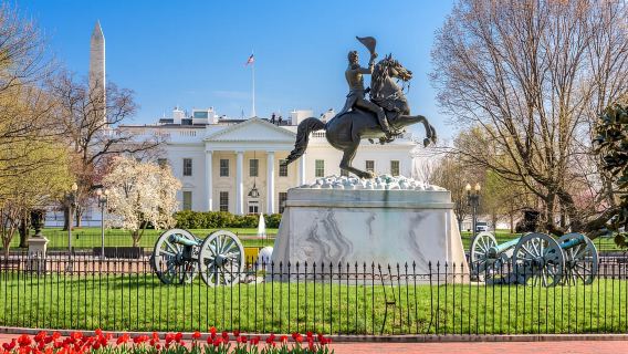 Washington, DC: History Tour Pub Crawl