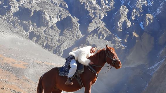 Horse riding tour in Kazbegi