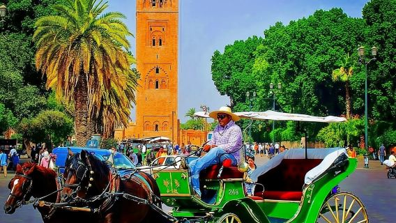 Marrakech: Recorrido de 1 hora en coche de caballos tradicional