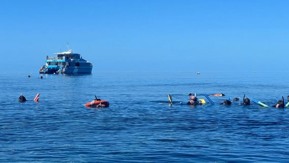 Townsville: Great Barrier Reef and MOUA Snorkeling Day Tour