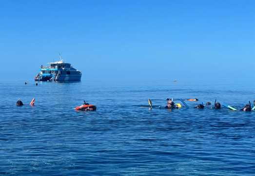 Townsville Great Barrier Reef and MOUA Snorkeling Day Tour: What to Expect Before You Book