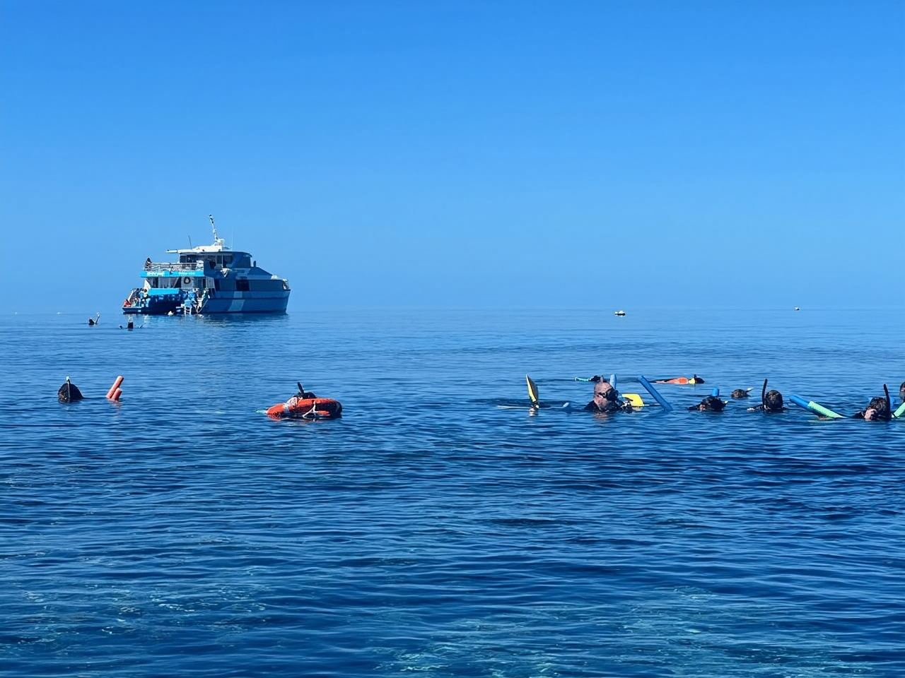 Townsville : excursion d'une journée de plongée avec tuba à la Grande Barrière de corail et au MOUA