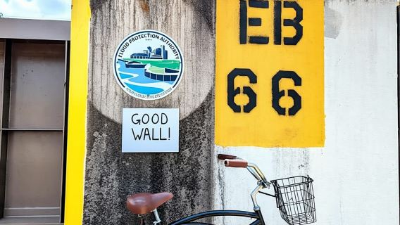 Nouvelle-Orléans : Balade à vélo dans les quartiers historiques et culturels créoles