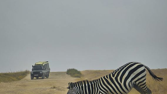 Nairobi: Excursión de un día al Parque Nacional Amboseli y al pueblo masai