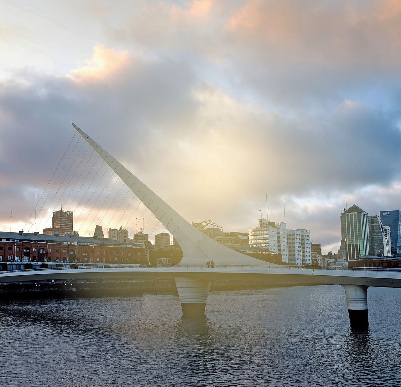 BUENOS AIRES: NIGHT TOUR LIGHTS OF THE CITY + 1 Drink at RoofTop Palermo