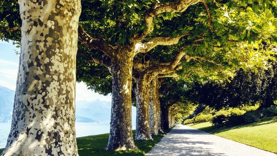 Depuis Lecco : billets d'entrée aux villas au bord du lac avec ferries