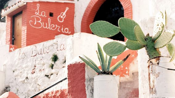 Granada: tour privato guidato a piedi dell'Albaicín e del Sacromonte