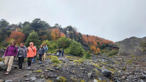 Pucón: degustazione di vini alla base del vulcano Villarrica