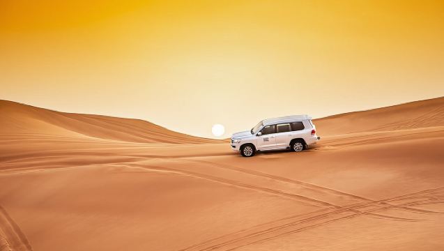 Premium Desert Safari Sharing Transfer with 5* Unlimited Buffet