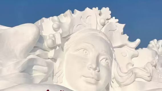 Harbin Sun Island + Siberia Tiger Park + Zhongyang Street Classic Private Charter Day Tour