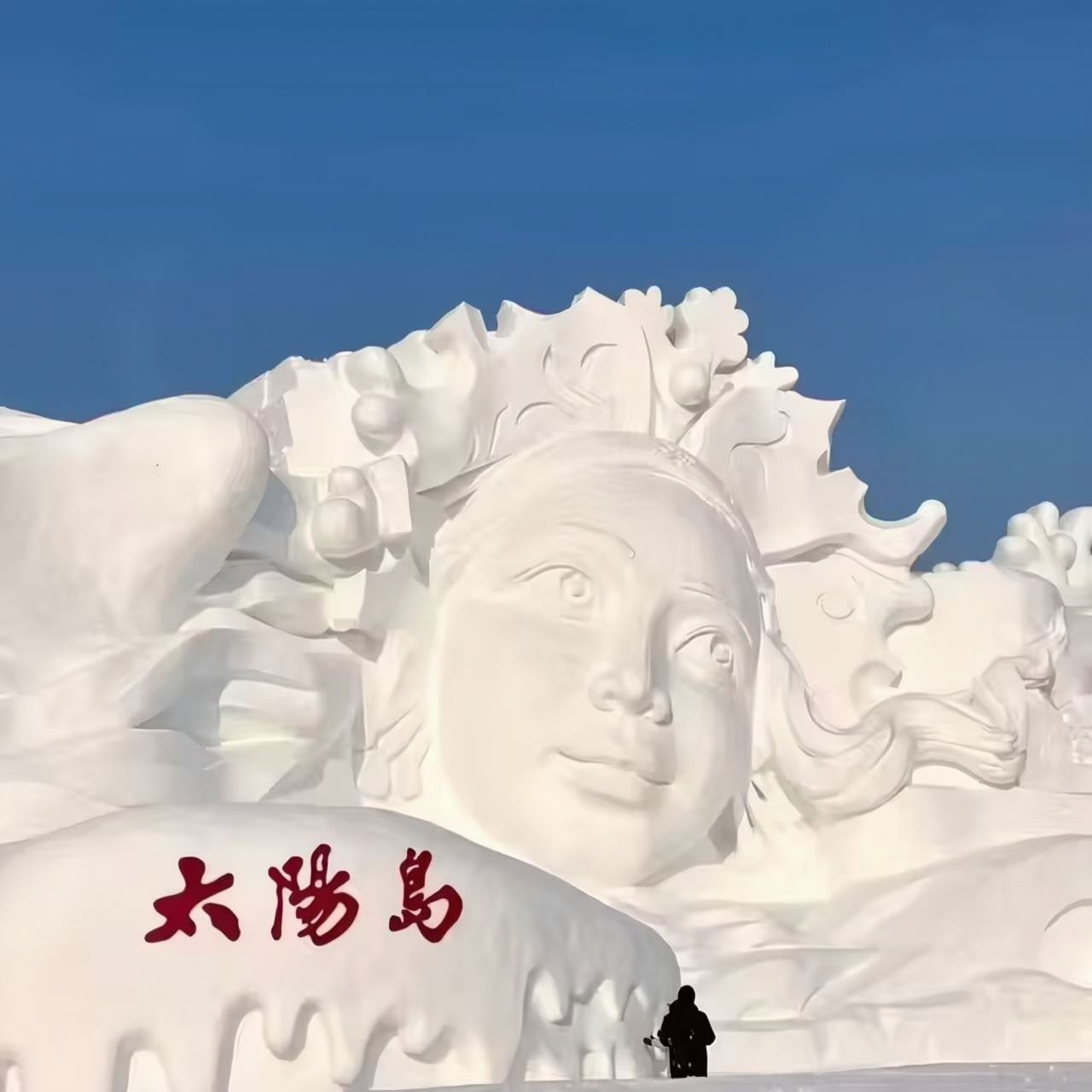 Harbin Sun Island + Siberia Tiger Park + Zhongyang Street Classic Private Charter Day Tour