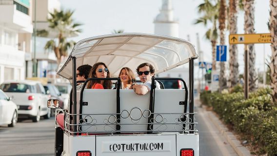 Express Tour of Malaga in Private Eco Tuk Tuk