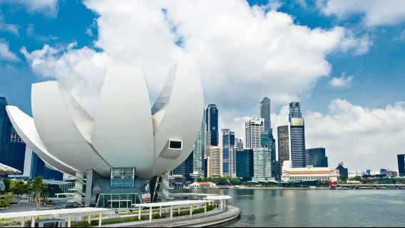 Art Trail Adventure + Sentosa Encounter: Singapore Private Charter Day Tour
