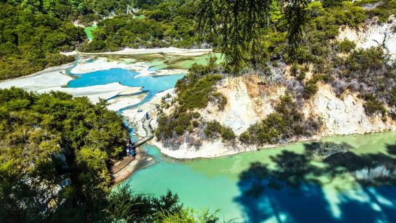 Auckland Join-in Tour: Maori Cultural Village + Te Puia Thermal Wonderland + Pohutu Geyser