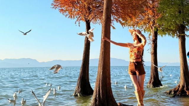 西山龍門+滇池+雲南民族村包車一日遊:含門票+三環內接送