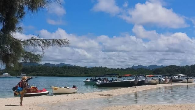 Western Mauritius Tour: Chamarel Seven Colored Earth Geopark + Bird Park + Wildlife Safari Private Chartered Tour