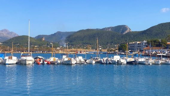 Mallorca: Küstenkreuzfahrt zum Hafen von Andratx mit Badehalt