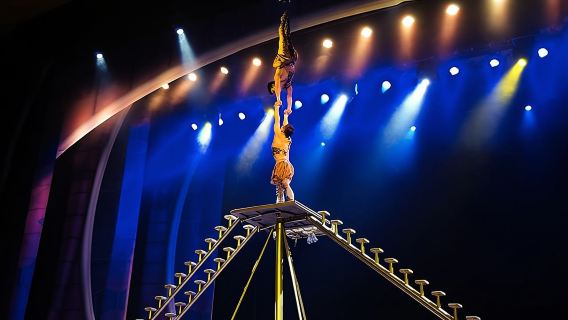 Beijing Evening Acrobatic Show in Red Theater + Private Transfer
