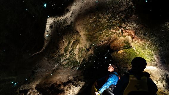 Glow Worm Kayak Tour
