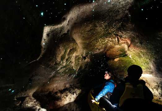 Glow Worm Kayak Tour