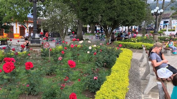 Recorrido turístico por la plantación de café en Jardin y la ciudad