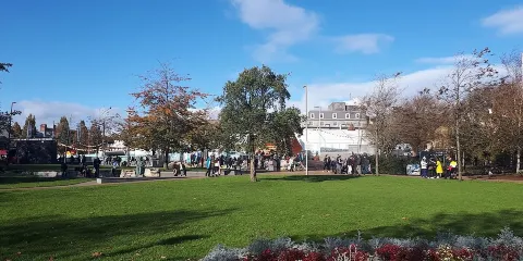戈爾韋小型步行導賞團