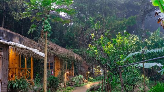 3-Day Trekking Adventure of Sapa from Hanoi - Stay Ta Van Village