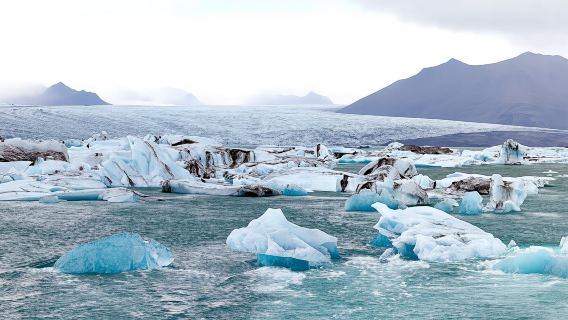 ReykjavikExperiences