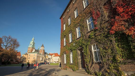 Guided Wawel tour with lunch and Vistula River cruise