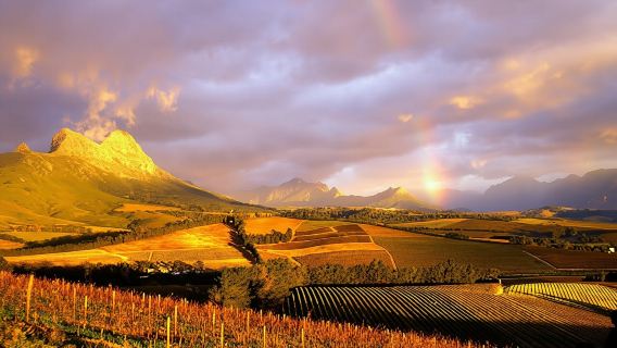 Cape Winelands full-day tour