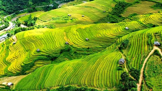Hanoi: 3-Day Mu Cang Chai Trekking, Hidden Trail, Local Life