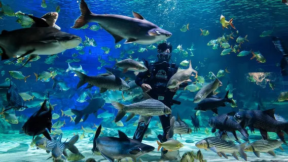 Full Day Pass Angkor Wildlife and Aquarium - Siem Reap