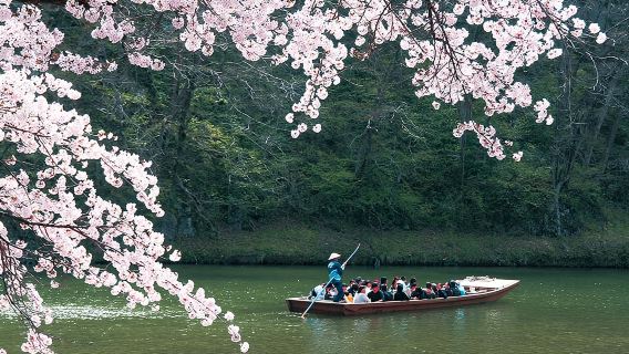 Croisière touristique dans la gorge de Geibikei à Iwate et spécialités locales le long de la ligne Ofunato