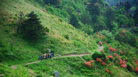 徽杭古道一日遊【帶你重走徽商之路頒發古道紀念證書+限定徽章】