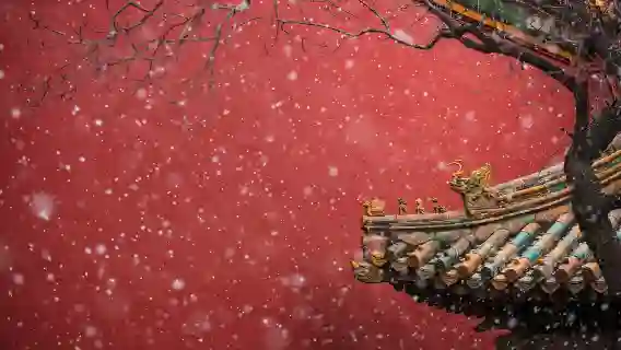 北京故宮博物院+天安門廣場-國旗【故深度精講&可升級上門接】