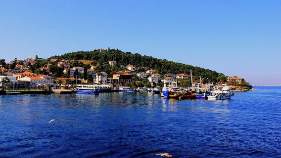 Istanbul: Prince's Island Tour + Lunch and 2 Islands