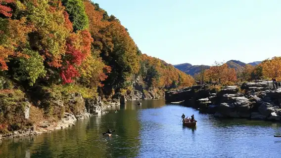 日本交通券 - 西武鐵道一日券+長瀞
