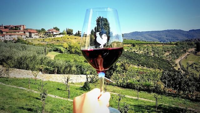 Excursión en tierra desde Livorno: Tour privado de vinos por Chianti y la campiña de la Toscana