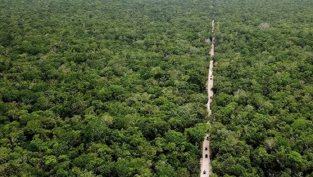 Off Road ATV Tour at the Akumal Monkey Rescued Animals Sanctuary