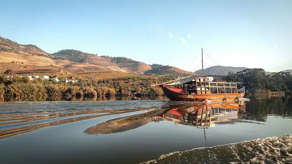 Authentic Small Group Douro Wine Tour with Lunch & River Cruise