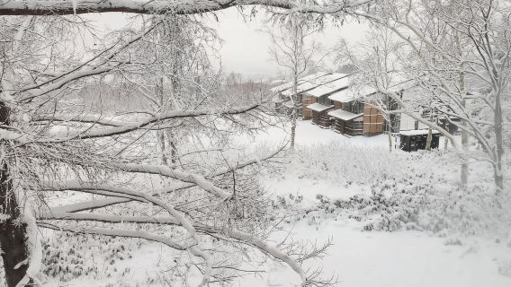 日本札幌藻巖山-大通公園-札幌啤酒博物館【北海道中文專車】