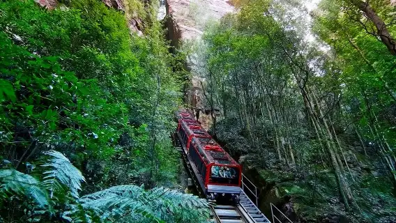 雪梨動物園＋藍山國家公園＋盧拉＋回聲角＋藍山絕景世界一日遊